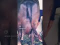 25kg milk top murrha buffalo viralvideo viralshort