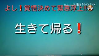 @名前はジュンジュン 九死に一生スペシャル‼😱😨👻ダイビングにて死にかけたの巻き!＃ダイビング ＃九死に一生 ＃死亡事故