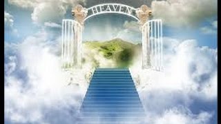 40 Days in Heaven The Testimony of Seneca Sodi