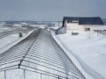 北海道の春　2月28日