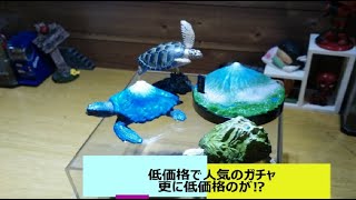 マウンテンタートルズ パンダの穴 ガチャガチャ