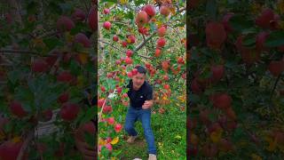 Eat always tasty and delicious fruits 😋🍓🍒🍇🍎#shorts #nature #fruit