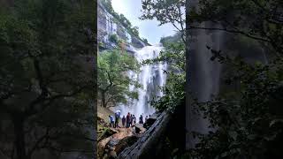 கொல்லிமலை ஆகாயகங்கை நீர்வீழ்ச்சி | Kollimalai | Akayagangai falls