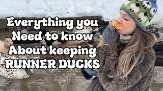 Everything You Need To Know About Keeping Runner Ducks!