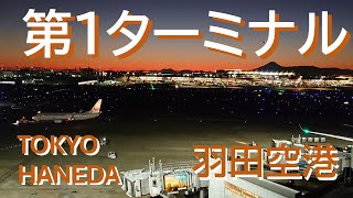 羽田空港　サンセット　第1ターミナル　展望デッキ