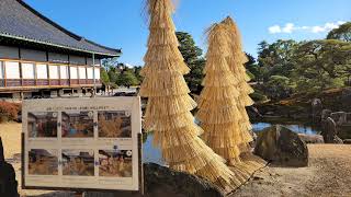 京都　二条城　#二条城二の丸庭園