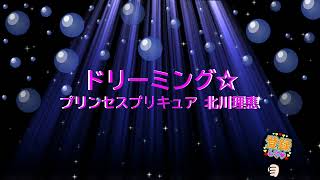 ドリーミング☆プリンセスプリキュア / 北川理恵　[歌える音源] (歌詞あり　2015年  ガイドメロディーなし　オフボーカル　karaoke)