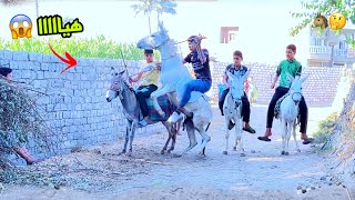 لما تعمل سباق حمير 🐴 انت وابوك واخوك الصغير 🤔😂| علاء حسين