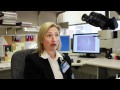 Hematopoietic Neoplasm Testing at Mayo Medical Laboratories