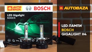 LED лампи Bosch Gigalight H4. Як вони світять?