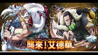 [OPTC- Invasion Young Whitebeard]襲來戰_白鬍_限定沙鱷博識隊! Legend crocodile team