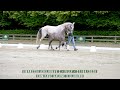 21. Empressa Axelhoeve Z