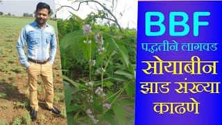 BBF/रुंद वरंबा सरी पद्धतिने सोयाबीन लागवड प्रा. श्री सचिन इंगोले || Agri Power ||