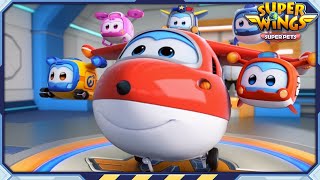✈ SUPERWINGS5 Super Pets! Full Episodes Live ✈