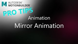 MotionBuilder ProTips - Animation - Mirror Animation