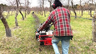 Branch EATING MACHINE (GameChanger)