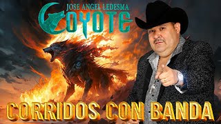 El Coyote y Su Banda Las 🎺30 Mejores Canciones de El Coyote Mix Con banda Mix Para Pistear 12125