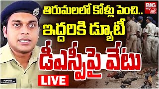 DSP TT Prabhakar Suspend? LIVE: తిరుమలలో కోళ్లు పెంచి.. ఇద్దరికి డ్యూటీ | Tirumala DSP Issue |BIG TV