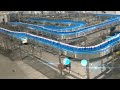 500cpm carbonated soft drink production machine csd canning filling production line