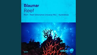 Reef (Alternative Universe Mix)