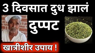 गाय म्हैस चे दूध वाढेल खात्रीशीर अनुभवी उपाय।cow buffalo milk increase desi upay formula new feed