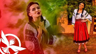 Mix Folclor Romanesc 🇷🇴 Muzica Noua Romaneasca de Petrecere Best Romanian Music Party by Zeno Music