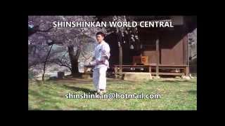 SHINSHINKAN KARATE DO JAPAN / Sanchin Kata and Sunsu Kata / HD