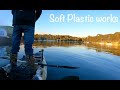 Soft Plastic Lure Works | Soft Plastic Lure Fishing Techniques | Larry Outdoors