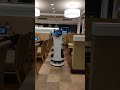 ガストのネコ型ロボット～やってきたよ編～