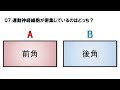 【聞き流し・スピード確認テストⅡ・19】脊髄（解剖生理学・神経系）