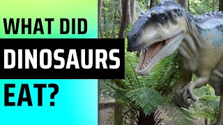 WHAT DID DINOSAURS EAT?