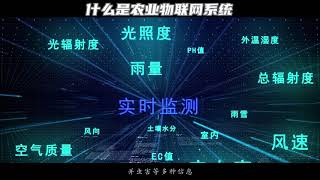 智能温室建造与实施方案，将物联网技术引入大棚中来，实现温室种植的高效和精准化管理#智能温室 #玻璃温室