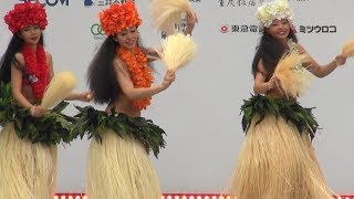 Heirani　2018　タヒチアンダンス　横浜セントラルタウンフェスティバル　Y159　4/4