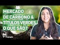 ESG para iniciantes: entenda o Mercado de Carbono e os Green Bonds