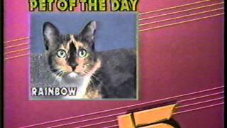 Baltimore WNUV 54 Pet Of The Day.mpg