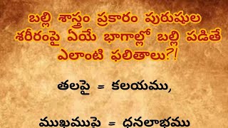 శాస్త్రం ప్రకారం పురుషుల శ‌రీరంపై ఏయే భాగాల్లో బ‌ల్లి ప‌డితే ఎలాంటి ఫ‌లితాలు?!Balli Sastram For Men