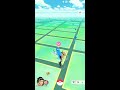 【pokemon go】捕獲稀有的盔甲鳥與用兩隻可愛的咕咕 精靈寶可夢go