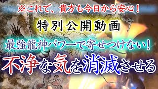 【特別公開！】最強龍神パワーで、不浄な気を消し去っていただきましょう。