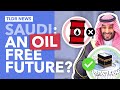 Vision 2030: Can Saudi Arabia Wean Itself off Oil?