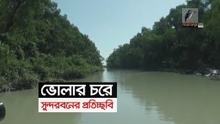 ভোলার চরে সুন্দরবনের প্রতিচ্ছবি