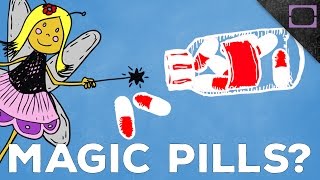 How Do Antibiotics Work?