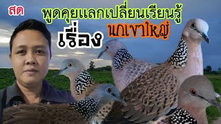 พูดคุยแลกเปลี่ยนเรียนรู้เรื่องนกเขาใหญ่