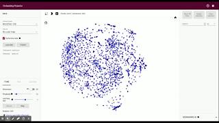 Embedding projector applying t-SNE