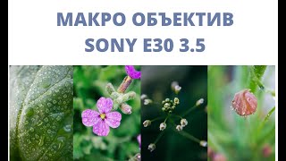 МАКРО ОБЪЕКТИВ SONY E30 f3.5 МАКРОСЪЕМКА