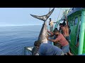 200கிலோ மார்லின் மீனை தண்ணில பாஞ்சி புடிச்சாச்சு/DEEPSEA BLUE MARLIN FISH CATCHING LIVE