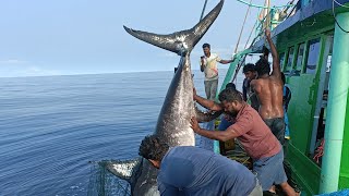 200கிலோ மார்லின் மீனை தண்ணில பாஞ்சி புடிச்சாச்சு/DEEPSEA BLUE MARLIN FISH CATCHING LIVE