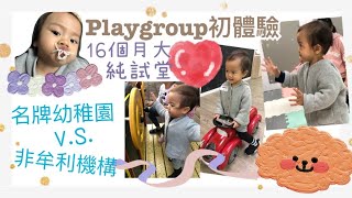 名牌幼稚園v.s.非牟利機構＊playgroup｜16個月大試堂體驗｜最後兩間都冇揀