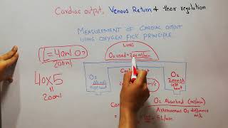 CVS 186 || Oxygen fick principle for measurement of cardiac output | How to measure cardiac output