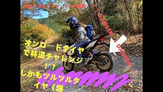 【Bike #02】　ちびちゃん、初めての林道 in下泉笹間線 GROM XR650R