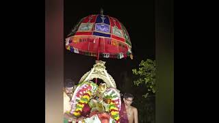 Vandiyur Mariamman Teppakulam in Madurai